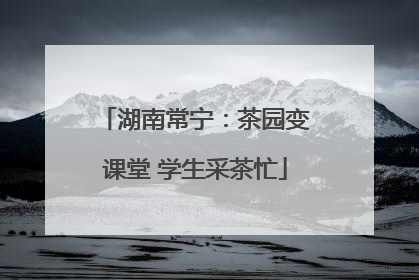 湖南常宁：茶园变课堂 学生采茶忙