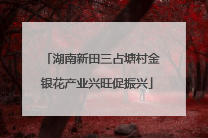 湖南新田三占塘村金银花产业兴旺促振兴