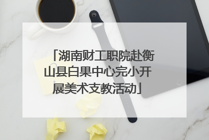 湖南财工职院赴衡山县白果中心完小开展美术支教活动
