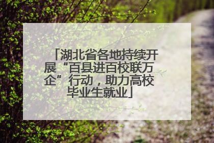 湖北省各地持续开展“百县进百校联万企”行动，助力高校毕业生就业