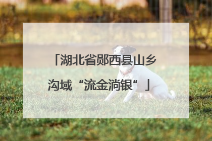 湖北省郧西县山乡沟域“流金淌银”