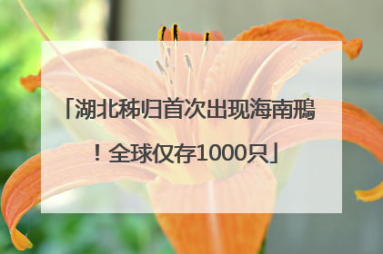 湖北秭归首次出现海南鳽！全球仅存1000只