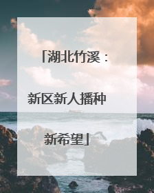 湖北竹溪：新区新人播种新希望
