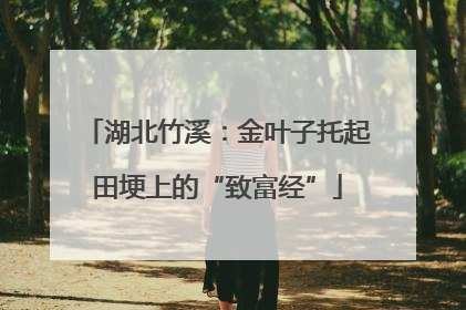 湖北竹溪：金叶子托起田埂上的“致富经”