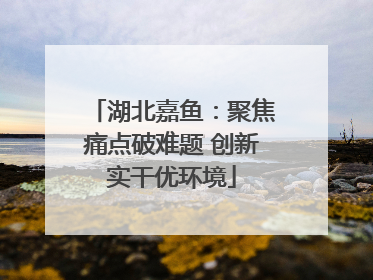 湖北嘉鱼：聚焦痛点破难题 创新实干优环境