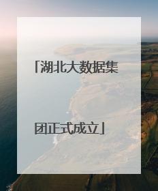 湖北大数据集团正式成立