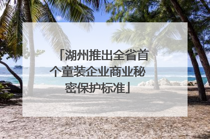 湖州推出全省首个童装企业商业秘密保护标准