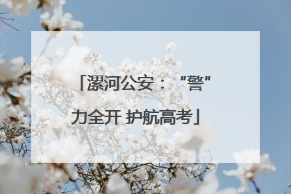 漯河公安：“警”力全开 护航高考