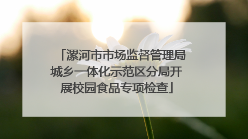 漯河市市场监督管理局城乡一体化示范区分局开展校园食品专项检查