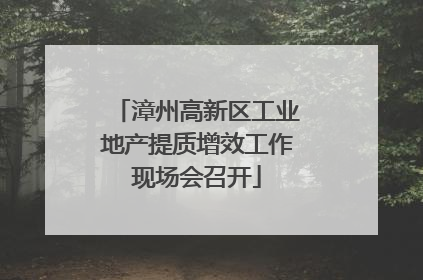 漳州高新区工业地产提质增效工作现场会召开