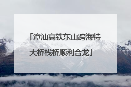 漳汕高铁东山跨海特大桥栈桥顺利合龙