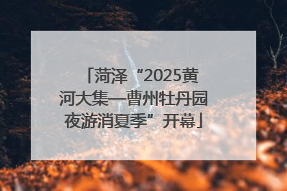菏泽“2025黄河大集—曹州牡丹园夜游消夏季”开幕