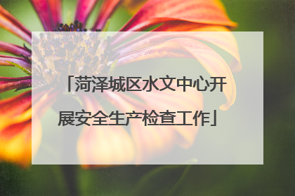 菏泽城区水文中心开展安全生产检查工作
