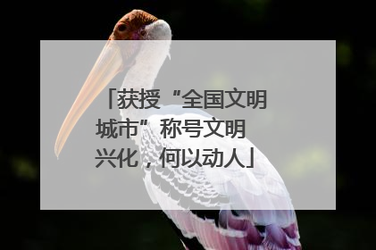获授“全国文明城市”称号文明 兴化，何以动人