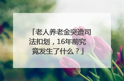 老人养老金突遭司法扣划，16年前究竟发生了什么？