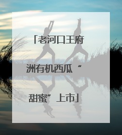 老河口王府洲有机西瓜“甜蜜”上市