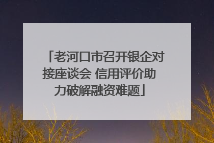 老河口市召开银企对接座谈会 信用评价助力破解融资难题