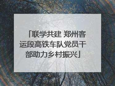 联学共建 郑州客运段高铁车队党员干部助力乡村振兴