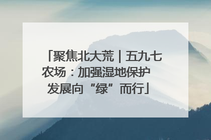 聚焦北大荒｜五九七农场：加强湿地保护 发展向“绿”而行