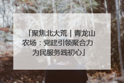 聚焦北大荒｜青龙山农场：党建引领聚合力 为民服务践初心