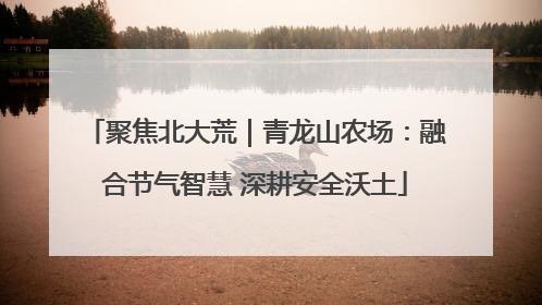 聚焦北大荒｜青龙山农场：融合节气智慧 深耕安全沃土