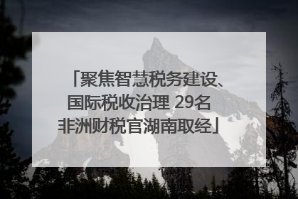 聚焦智慧税务建设、国际税收治理 29名非洲财税官湖南取经