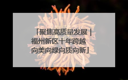 聚焦高质量发展｜福州新区十年跨越 向美向绿向质向新