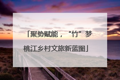 聚势赋能，“竹”梦桃江乡村文旅新蓝图