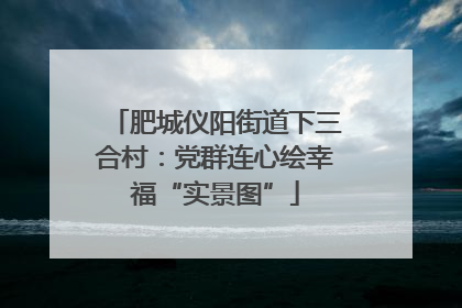 肥城仪阳街道下三合村：党群连心绘幸福“实景图”