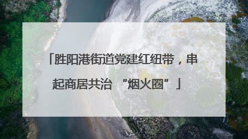 胜阳港街道党建红纽带，串起商居共治 “烟火圈”