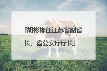 胡彬郴任江苏省副省长、省公安厅厅长