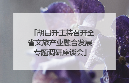 胡昌升主持召开全省文旅产业融合发展专题调研座谈会