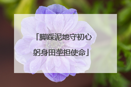脚踩泥地守初心 躬身田垄担使命