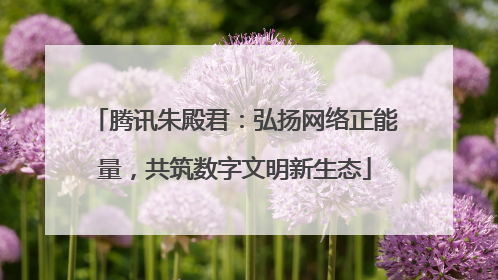 腾讯朱殿君：弘扬网络正能量，共筑数字文明新生态