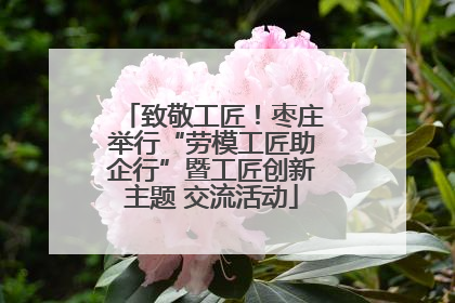 致敬工匠！枣庄举行“劳模工匠助企行”暨工匠创新主题 交流活动
