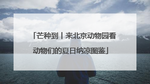 芒种到丨来北京动物园看动物们的夏日纳凉图鉴