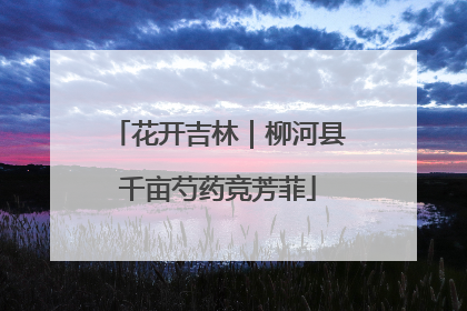 花开吉林｜柳河县千亩芍药竞芳菲
