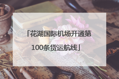 花湖国际机场开通第100条货运航线