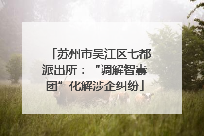 苏州市吴江区七都派出所：“调解智囊团”化解涉企纠纷