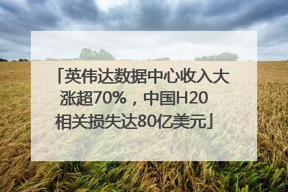 英伟达数据中心收入大涨超70%，中国H20相关损失达80亿美元