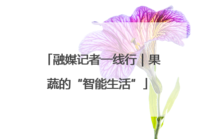 融媒记者一线行｜果蔬的“智能生活”