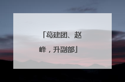 葛建团、赵峰，升副部