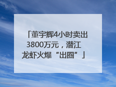 董宇辉4小时卖出3800万元，潜江龙虾火爆“出圈”