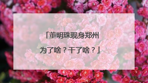 董明珠现身郑州 为了啥？干了啥？