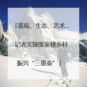 蓝莓、生态、艺术……记者实探张家楼乡村振兴“三重奏”