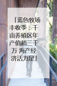 蓝色牧场丰收季：千亩养殖区年产值超三千万 海产经济活力足