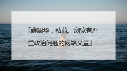 薛建华，私藏、浏览有严重政治问题的网络文章