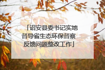 诏安县委书记实地督导省生态环保督察反馈问题整改工作