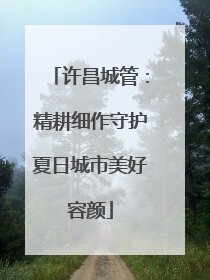 许昌城管：精耕细作守护夏日城市美好容颜