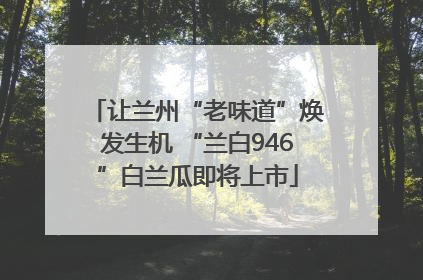 让兰州“老味道”焕发生机 “兰白946”白兰瓜即将上市